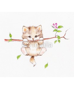ciumac, Kitten hanging on a tree