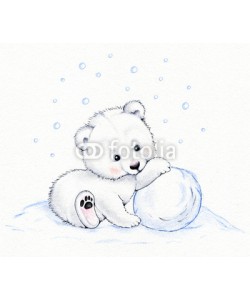 ciumac, Polar bear
