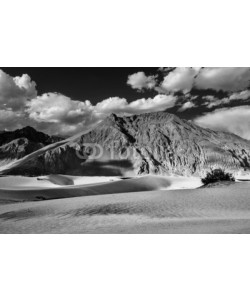 f9photos, Sand dunes. Nubra valley, Ladakh, India