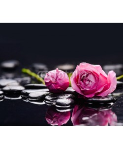 Mee Ting, Two rose and wet stones