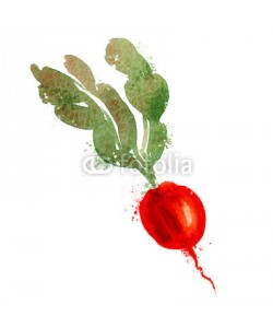 ~ Bitter ~, radish vector logo design template. vegetables or food icon.