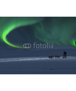 Blickfang, Hundeschlitten mit Nordlicht