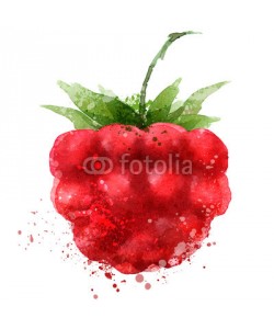 ~ Bitter ~, Berry vector logo design template. Raspberry or food icon.