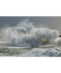 Zacarias da Mata, Big wave