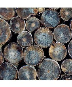 victor zastol'skiy, wood logs texture
