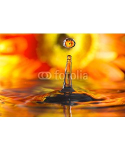 roberaten, reflection in drops orange flower