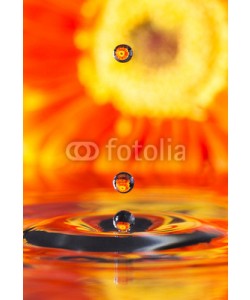 roberaten, reflection in drops orange flower