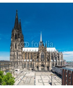 davis, Köln