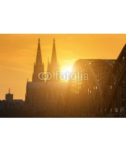 davis, Cologne