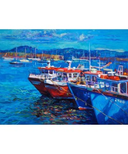 Boyan Dimitrov, Fishing boats