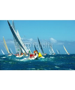 Alvov, Sailing yachts regatta. Series yachts and ships