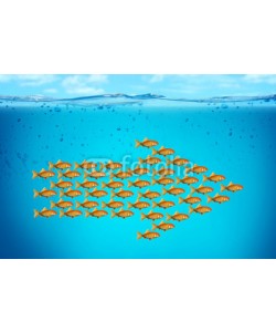 microstocker, business conceptual