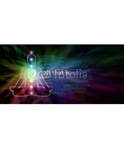 Nikki Zalewski, Chakra Meditation Word Cloud Website Banner - wide dark banner with rainbow colored spiral and male lotus position silhouette on left side and a transparent word cloud surrounding All That Is in white