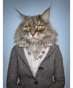 cranach, cat in clothes