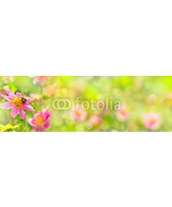 Floydine, Banner  -  Garden with beautiful flowers and bumble bee