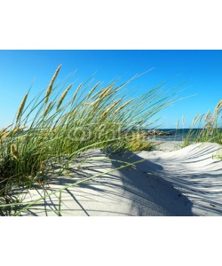ExQuisine, Düne mit Dünengras am Meer