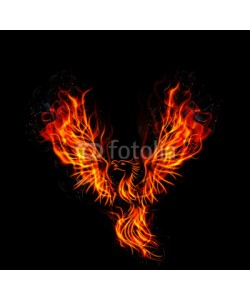 artnovielysa, Fire burning Phoenix Bird with black background