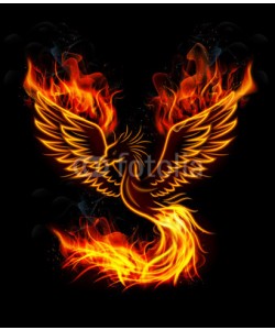 artnovielysa, Fire burning Phoenix Bird with black background
