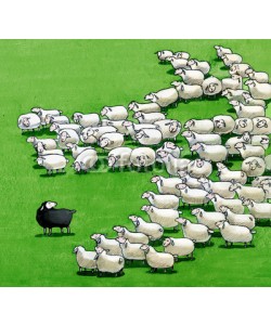 nuvolanevicata, black sheep in the flock