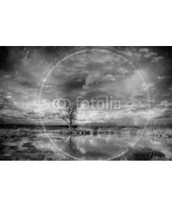 kichigin19, black and white photo autumn landscape