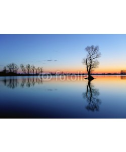 TTstudio, Silhouette tree at sunset in lake