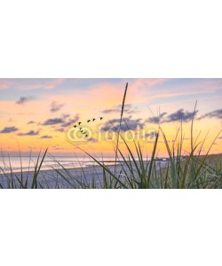 Marco2811, Sonnenuntergang am Strand