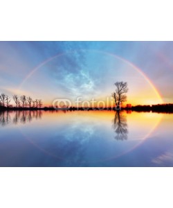 TTstudio, Tree and sun on lake sunrise