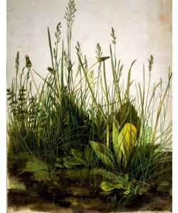 Albrecht Dürer, Das Große Rasenstück