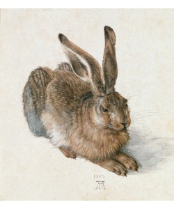 Albrecht Dürer, Junger Feldhase