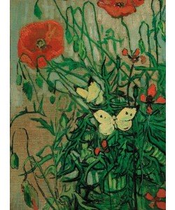Vincent van Gogh, Schmetterlinge auf Mohnblüten