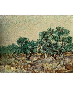 Vincent van Gogh, Olivenpflücker