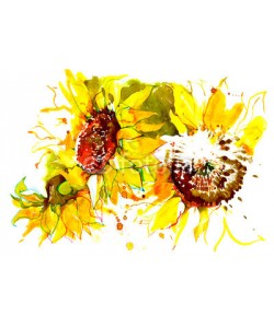 okalinichenko, sunflowers