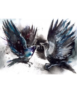 okalinichenko, crows