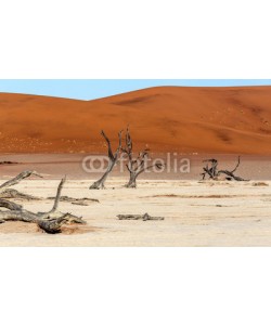 artush, Hidden Vlei in Namib desert