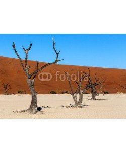 artush, Hidden Vlei in Namib desert