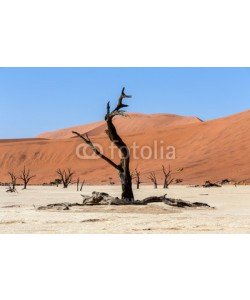 artush, Hidden Vlei in Namib desert
