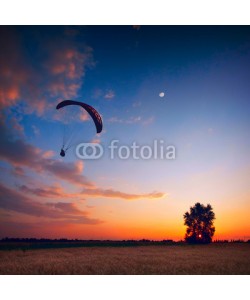 Bashkatov, Paraglide in a sunset sky