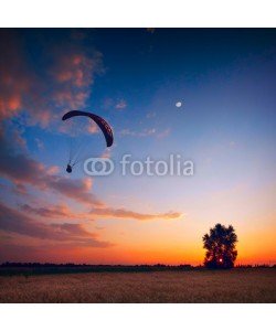 Bashkatov, Paraglide in a sunset sky