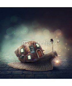 Elena Schweitzer, Snail with a shell house