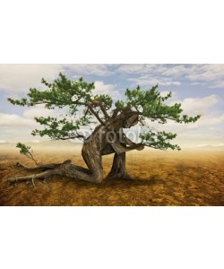 kevron2001, Tree in prayer