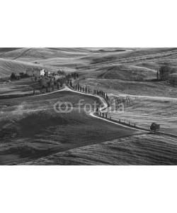 leeyiutung, idyllic Landscape in Pienza, Tuscany, Italy