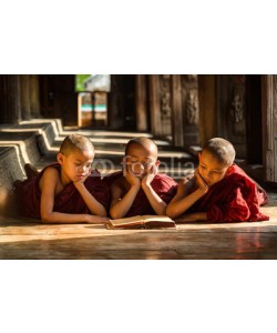 sutiporn, Novice monks are reading book