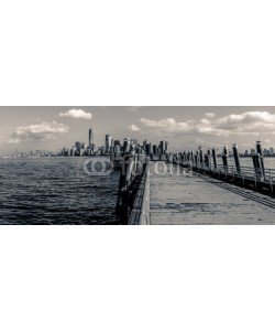 diego, View of Manhattan from Liberty Island