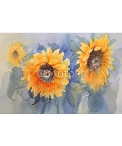Egle, sunflowers on green background watercolor