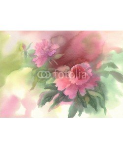 Egle, pink peony watercolor