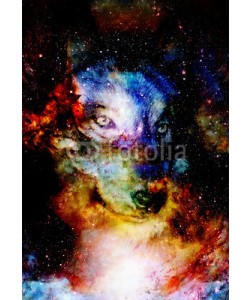 jozefklopacka, magical space wolf, multicolor computer graphic collage