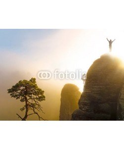 Visions-AD, Bergsteiger auf dem Gipfel in Siegerpose