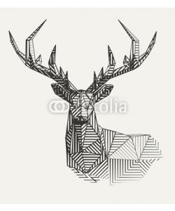 Kundra, Vector low poly line art. Geometrical reindeer illustration.