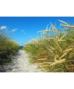 ExQuisine, Düne am Meer