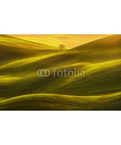 stevanzz, Tuscany panorama, rolling hills, fields, meadow and lonely tree. Italy